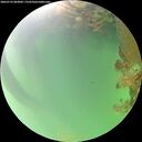 ./images/calvert/underwater/20260722/underwater20260722_083001M.jpg