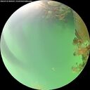 ./images/calvert/underwater/20260722/underwater20260722_084501M.jpg