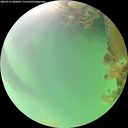 ./images/calvert/underwater/20260722/underwater20260722_085002M.jpg