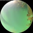 ./images/calvert/underwater/20260722/underwater20260722_085501M.jpg