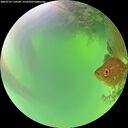 ./images/calvert/underwater/20260722/underwater20260722_110501M.jpg