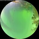 ./images/calvert/underwater/20260722/underwater20260722_113501M.jpg