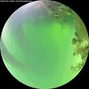 ./images/calvert/underwater/20260722/underwater20260722_114001M.jpg