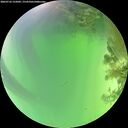 ./images/calvert/underwater/20260722/underwater20260722_125001M.jpg