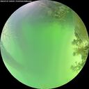 ./images/calvert/underwater/20260722/underwater20260722_130501M.jpg