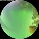 ./images/calvert/underwater/20260722/underwater20260722_131001M.jpg