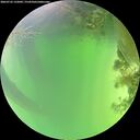 ./images/calvert/underwater/20260722/underwater20260722_132001M.jpg