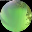 ./images/calvert/underwater/20260722/underwater20260722_132501M.jpg