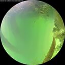 ./images/calvert/underwater/20260722/underwater20260722_133001M.jpg
