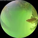 ./images/calvert/underwater/20260722/underwater20260722_140501M.jpg