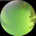 ./images/calvert/underwater/20260722/underwater20260722_142001M.jpg