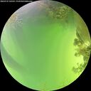 ./images/calvert/underwater/20260722/underwater20260722_142501M.jpg