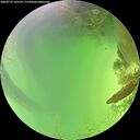 ./images/calvert/underwater/20260722/underwater20260722_145502M.jpg