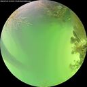 ./images/calvert/underwater/20260722/underwater20260722_151501M.jpg