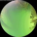 ./images/calvert/underwater/20260722/underwater20260722_152501M.jpg