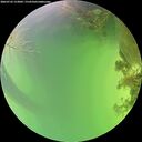 ./images/calvert/underwater/20260722/underwater20260722_153001M.jpg