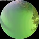 ./images/calvert/underwater/20260722/underwater20260722_154001M.jpg