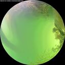 ./images/calvert/underwater/20260722/underwater20260722_155002M.jpg