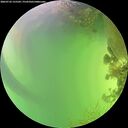 ./images/calvert/underwater/20260722/underwater20260722_155501M.jpg