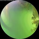 ./images/calvert/underwater/20260722/underwater20260722_163501M.jpg