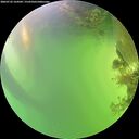 ./images/calvert/underwater/20260722/underwater20260722_164501M.jpg