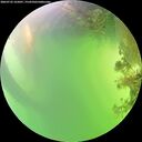 ./images/calvert/underwater/20260722/underwater20260722_165001M.jpg