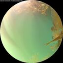 ./images/calvert/underwater/20260722/underwater20260722_200501M.jpg