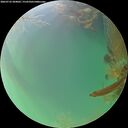 ./images/calvert/underwater/20260722/underwater20260722_204001M.jpg
