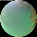 ./images/calvert/underwater/20260722/underwater20260722_211001M.jpg