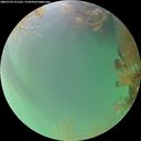 ./images/calvert/underwater/20260722/underwater20260722_211501M.jpg