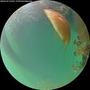 ./images/calvert/underwater/20260722/underwater20260722_212501M.jpg