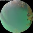 ./images/calvert/underwater/20260722/underwater20260722_213001M.jpg