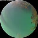 ./images/calvert/underwater/20260722/underwater20260722_213501M.jpg