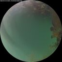 ./images/calvert/underwater/20260722/underwater20260722_215001M.jpg