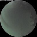 ./images/calvert/underwater/20260722/underwater20260722_222001M.jpg