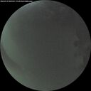 ./images/calvert/underwater/20260723/underwater20260723_045501M.jpg