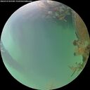 ./images/calvert/underwater/20260723/underwater20260723_055501M.jpg