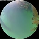 ./images/calvert/underwater/20260723/underwater20260723_060501M.jpg