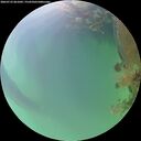 ./images/calvert/underwater/20260723/underwater20260723_061001M.jpg