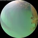 ./images/calvert/underwater/20260723/underwater20260723_062501M.jpg