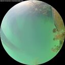 ./images/calvert/underwater/20260723/underwater20260723_065501M.jpg