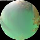 ./images/calvert/underwater/20260723/underwater20260723_070501M.jpg