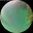 ./images/calvert/underwater/20260723/underwater20260723_071001M.jpg
