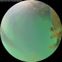 ./images/calvert/underwater/20260723/underwater20260723_071501M.jpg
