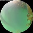 ./images/calvert/underwater/20260723/underwater20260723_074501M.jpg