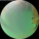 ./images/calvert/underwater/20260723/underwater20260723_080501M.jpg