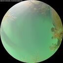 ./images/calvert/underwater/20260723/underwater20260723_081001M.jpg