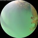 ./images/calvert/underwater/20260723/underwater20260723_083001M.jpg
