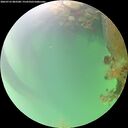 ./images/calvert/underwater/20260723/underwater20260723_083501M.jpg