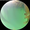 ./images/calvert/underwater/20260723/underwater20260723_084501M.jpg